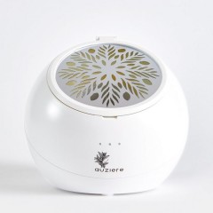 Fan Diffuser for Essential Oils